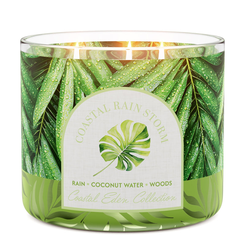 Coastal Rain Storm 3-Wick Candle Drop 1-0574